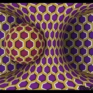 Meet your Posher, Josh